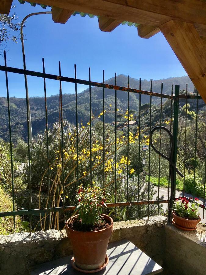 Il Nido Della Rondine Leivi Bagian luar foto